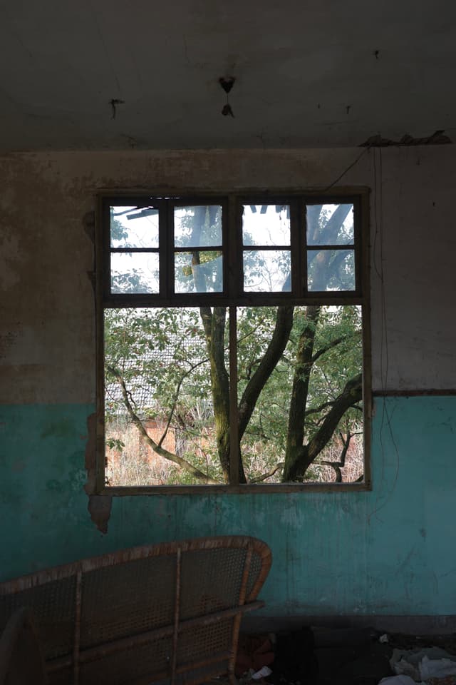 Untitled